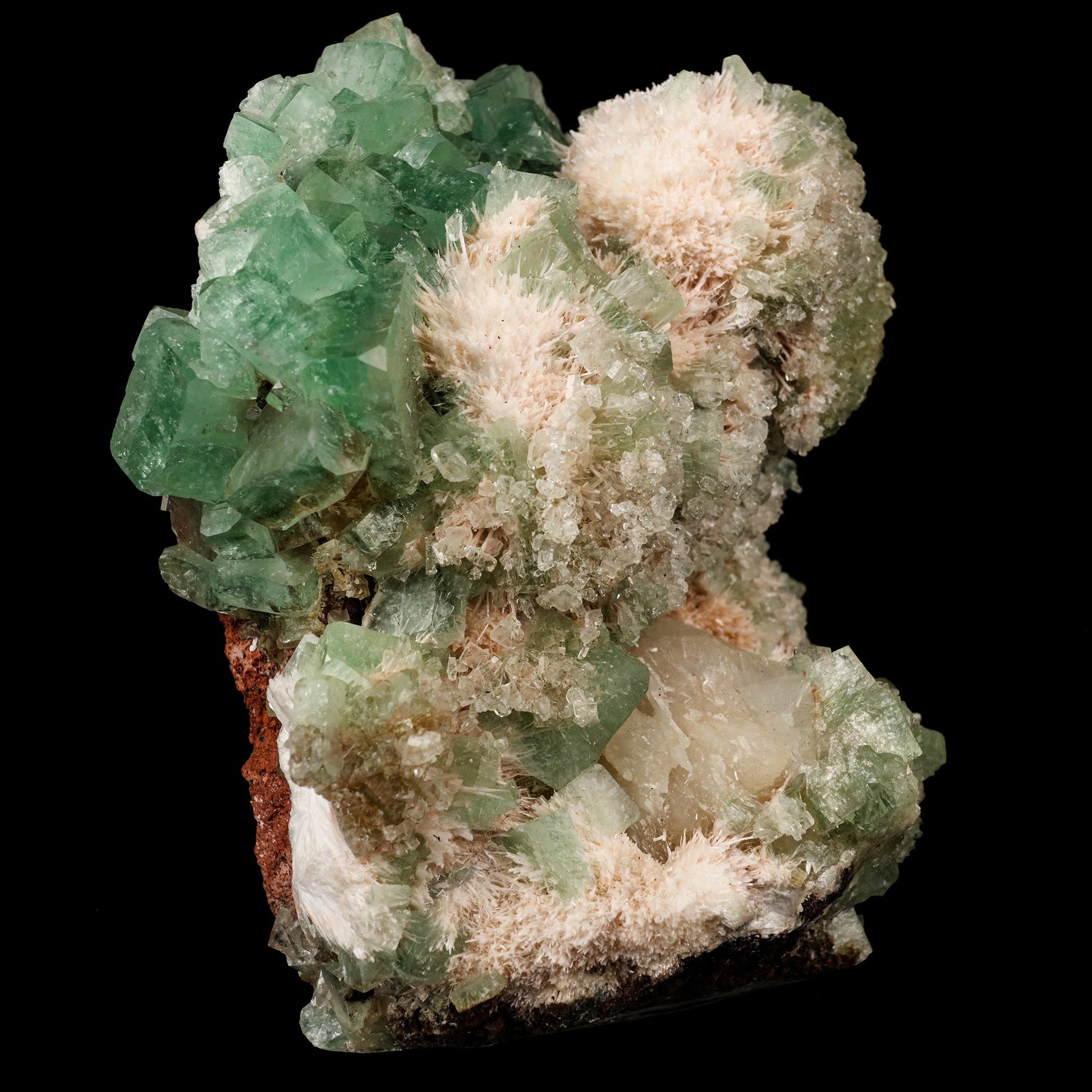 Apophyllite Green with Mordenite Self Standing Natural Mineral Specimen # B 5748 Thomsonite Superb Minerals 