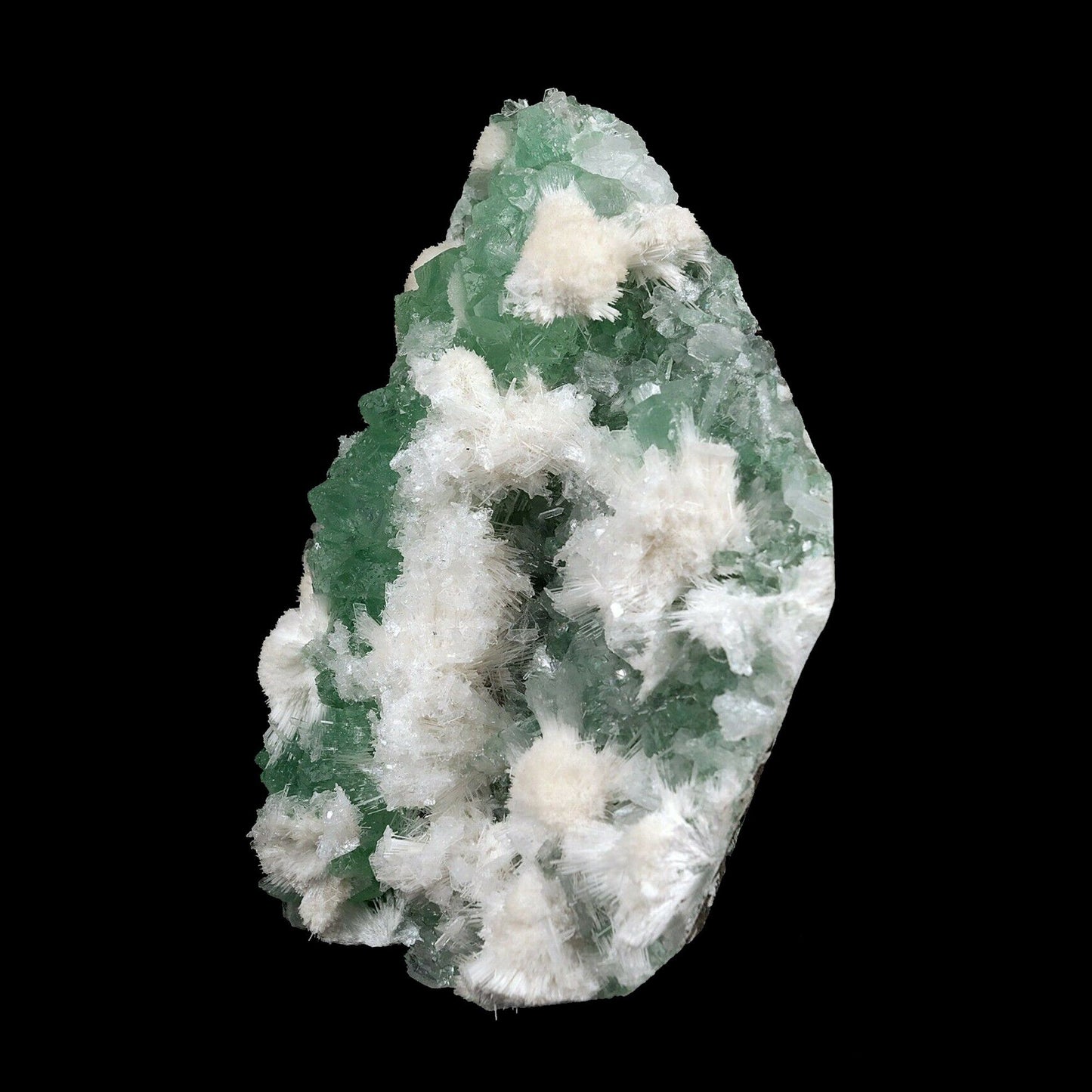 Apophyllite green with Scolecite on Chalcedony A Real Attention Grabbe…  https://www.superbminerals.us/products/apophyllite-green-with-scolecite-on-chalcedony-natural-mineral-specimen-b-3741  Features:This is worthy of center piece status in any mineral collection. Its first feature is size - a whopping 20 by 14 cm and 1.560 kg which qualifies it for that rare super extra large status which Mineralium specializes in. The next feature is sculptural snowy white needle-like scolecite which forms radiating ros