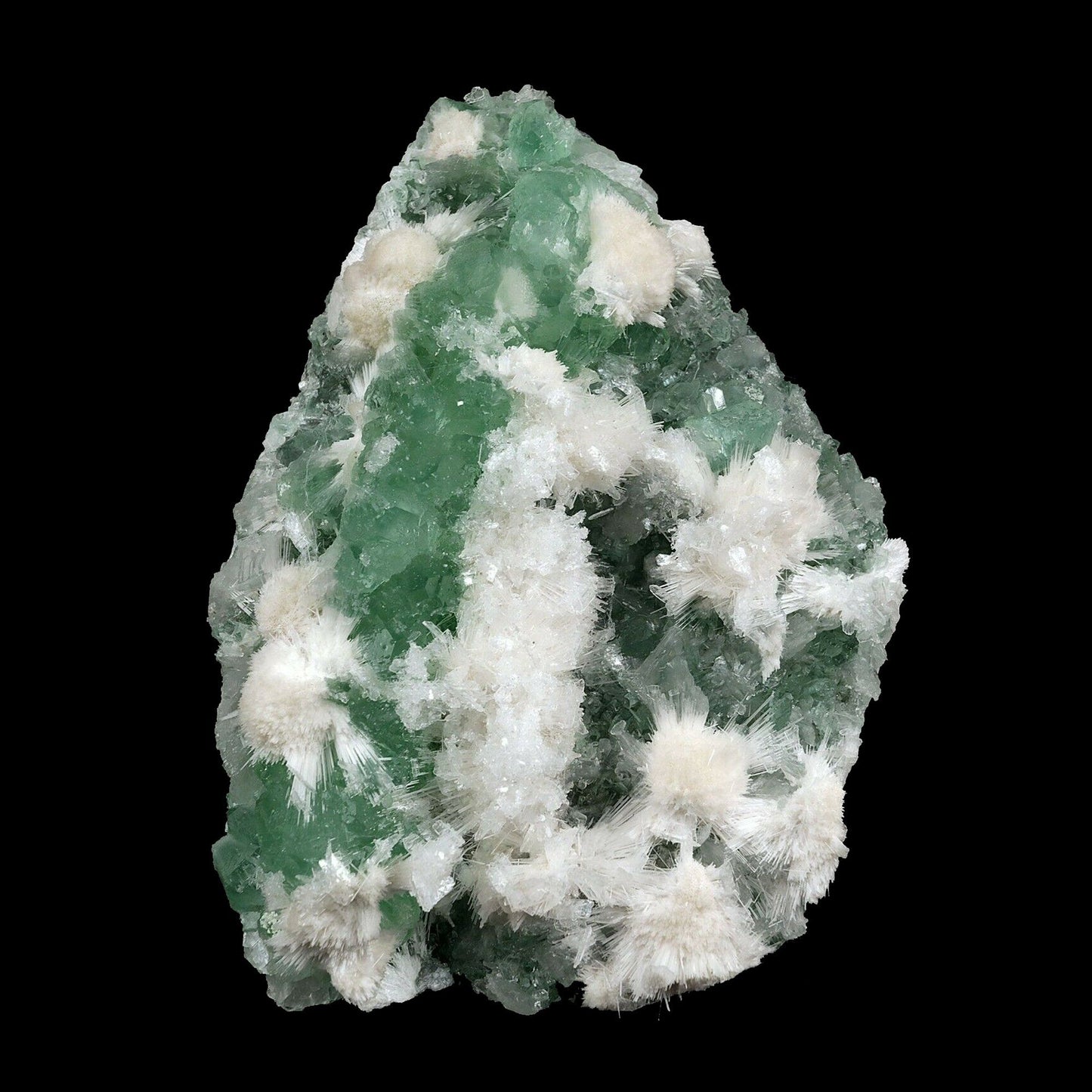 Apophyllite green with Scolecite on Chalcedony A Real Attention Grabbe…  https://www.superbminerals.us/products/apophyllite-green-with-scolecite-on-chalcedony-natural-mineral-specimen-b-3741  Features:This is worthy of center piece status in any mineral collection. Its first feature is size - a whopping 20 by 14 cm and 1.560 kg which qualifies it for that rare super extra large status which Mineralium specializes in. The next feature is sculptural snowy white needle-like scolecite which forms radiating ros