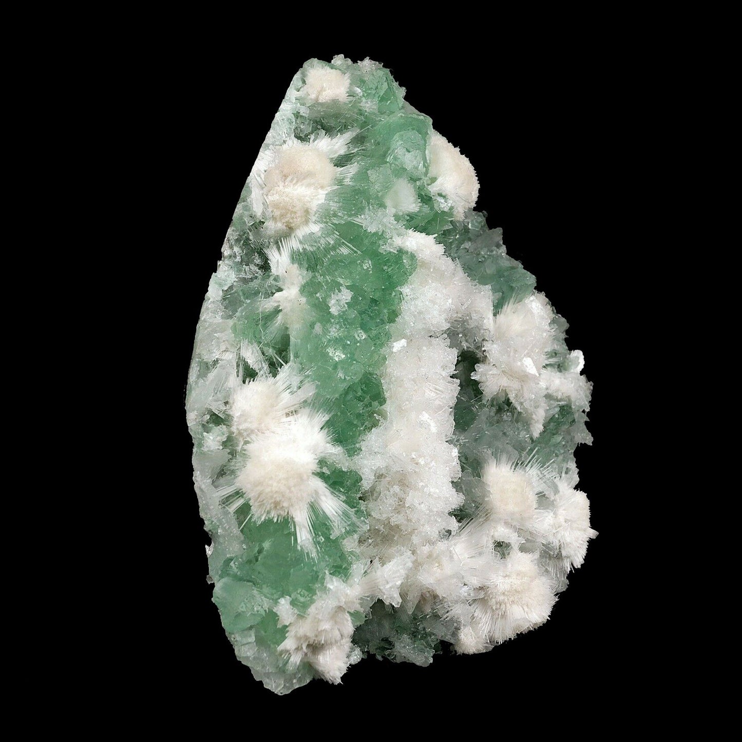 Apophyllite green with Scolecite on Chalcedony A Real Attention Grabbe…  https://www.superbminerals.us/products/apophyllite-green-with-scolecite-on-chalcedony-natural-mineral-specimen-b-3741  Features:This is worthy of center piece status in any mineral collection. Its first feature is size - a whopping 20 by 14 cm and 1.560 kg which qualifies it for that rare super extra large status which Mineralium specializes in. The next feature is sculptural snowy white needle-like scolecite which forms radiating ros