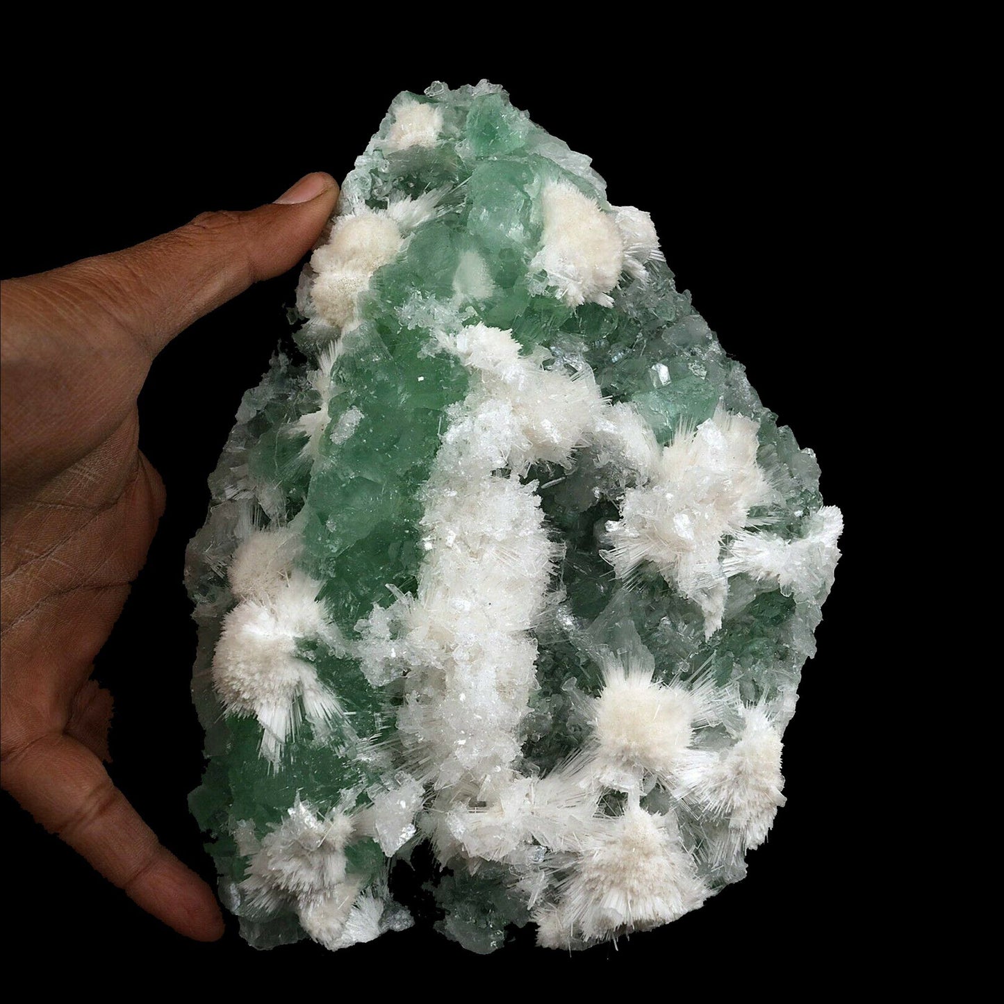 Apophyllite green with Scolecite on Chalcedony A Real Attention Grabbe…  https://www.superbminerals.us/products/apophyllite-green-with-scolecite-on-chalcedony-natural-mineral-specimen-b-3741  Features:This is worthy of center piece status in any mineral collection. Its first feature is size - a whopping 20 by 14 cm and 1.560 kg which qualifies it for that rare super extra large status which Mineralium specializes in. The next feature is sculptural snowy white needle-like scolecite which forms radiating ros