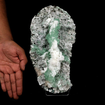 Apophyllite Green with Scolecite on Chalcedony Attention Grabber # B 3…  https://www.superbminerals.us/products/apophyllite-green-with-scolecite-on-chalcedony-attaintion-graber-b-3744  Features:A very aesthetic piece featuring a matrix densely coated with miniature, sparkling mint crystals with a numerous of lustrous, larger light-green to green Apophyllite crystals on white chalcedony matrix, all hosting a line of transparent, mint-green Apophyllite pointed crystals ascending to the top of the piece