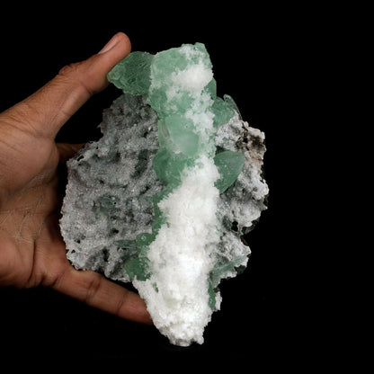 Apophyllite Green with Scolecite on Chalcedony Natural Mineral Specimen B3738 https://www.superbminerals.us/products/apophyllite-green-with-scolecite-on-chalcedony-natural-mineral-specimen-b-3738 This piece has various gemmy, radiant, straightforward groups of green Apophyllite precious crystals, profoundly pursued for their lucidity and rich green tone, on it various bunches of white, clear scolecite splashes, all on a grid of white, shimmering Chalcedony. An excellent and gaudy piece 