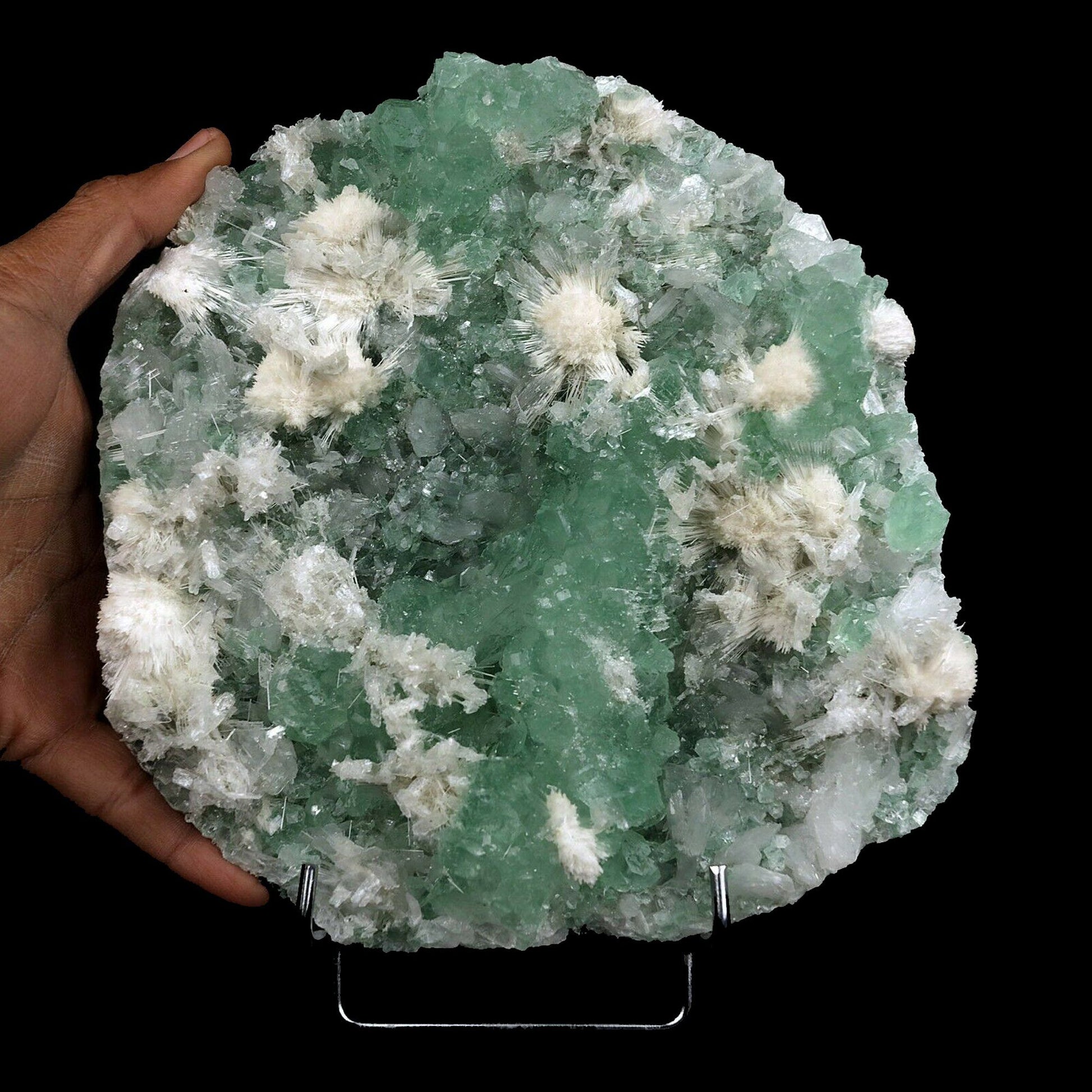 Apophyllite Green with Scolecite on Chalcedony Natural Mineral Specime…  https://www.superbminerals.us/products/apophyllite-green-with-scolecite-on-chalcedony-natural-mineral-specimen-b-3742  Features:This is worthy of center piece status in any mineral collection. Its first feature is size - a whopping 20 by 18 cm and 2.00 kg which qualifies it for that rare super extra large status which Mineralium specializes in. The next feature is sculptural snowy white needle-like scolecite which forms radiating