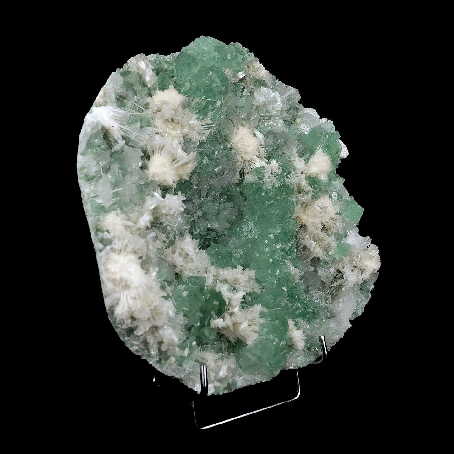 Apophyllite Green with Scolecite on Chalcedony Natural Mineral Specime…  https://www.superbminerals.us/products/apophyllite-green-with-scolecite-on-chalcedony-natural-mineral-specimen-b-3742  Features:This is worthy of center piece status in any mineral collection. Its first feature is size - a whopping 20 by 18 cm and 2.00 kg which qualifies it for that rare super extra large status which Mineralium specializes in. The next feature is sculptural snowy white needle-like scolecite which forms radiating