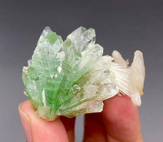 Apophyllite & Mordenite DK68 Superb Minerals 