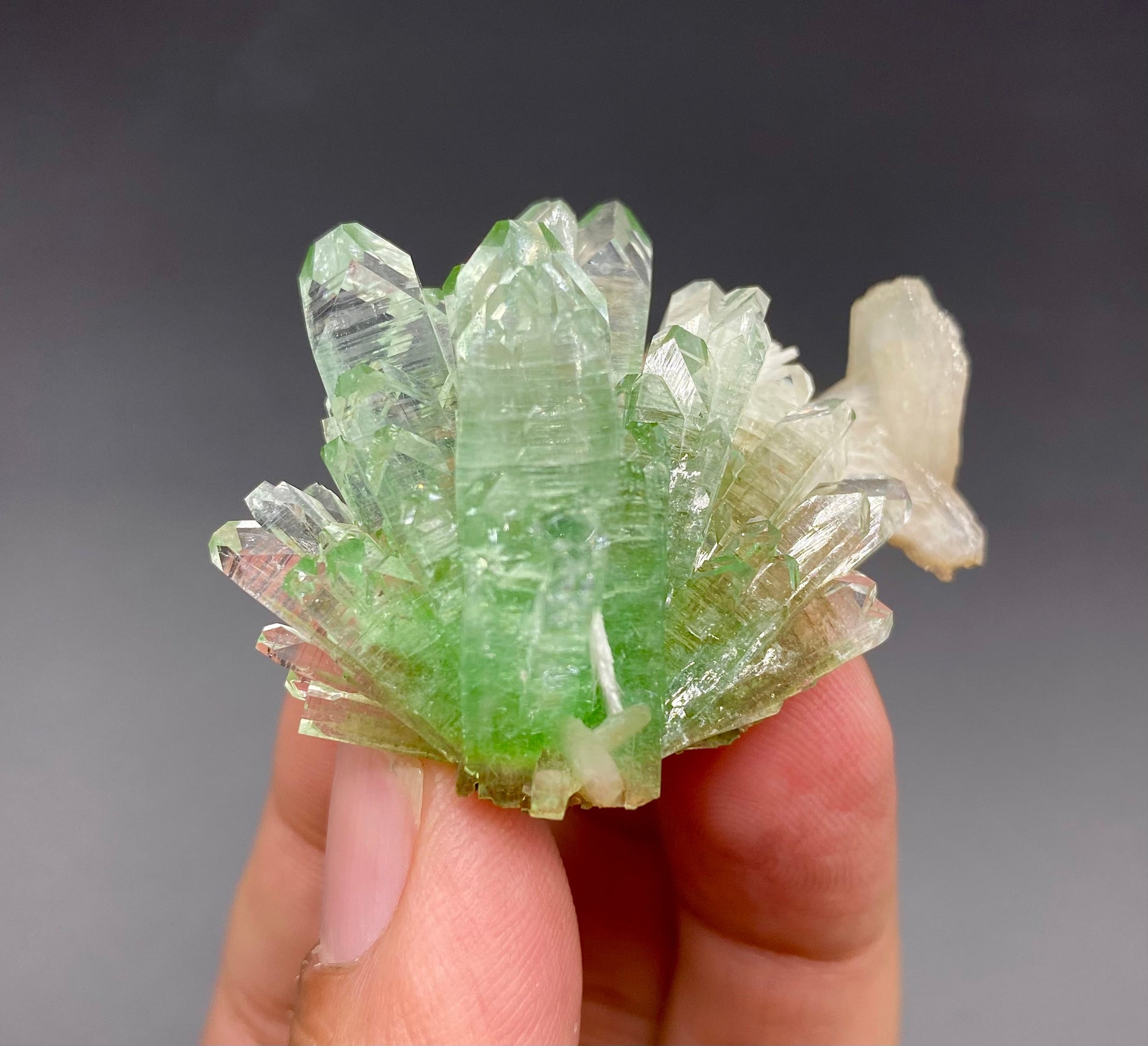 Apophyllite & Mordenite DK68 Superb Minerals 