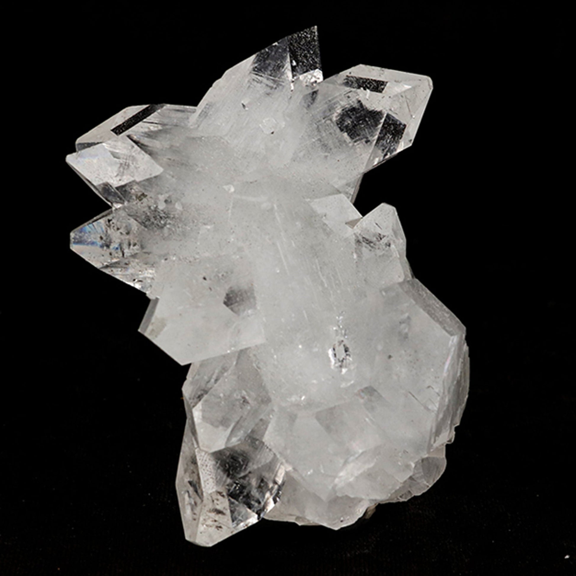 Apophyllite Natural Mineral Specimen# B 5455 Apophylite Superb Minerals 