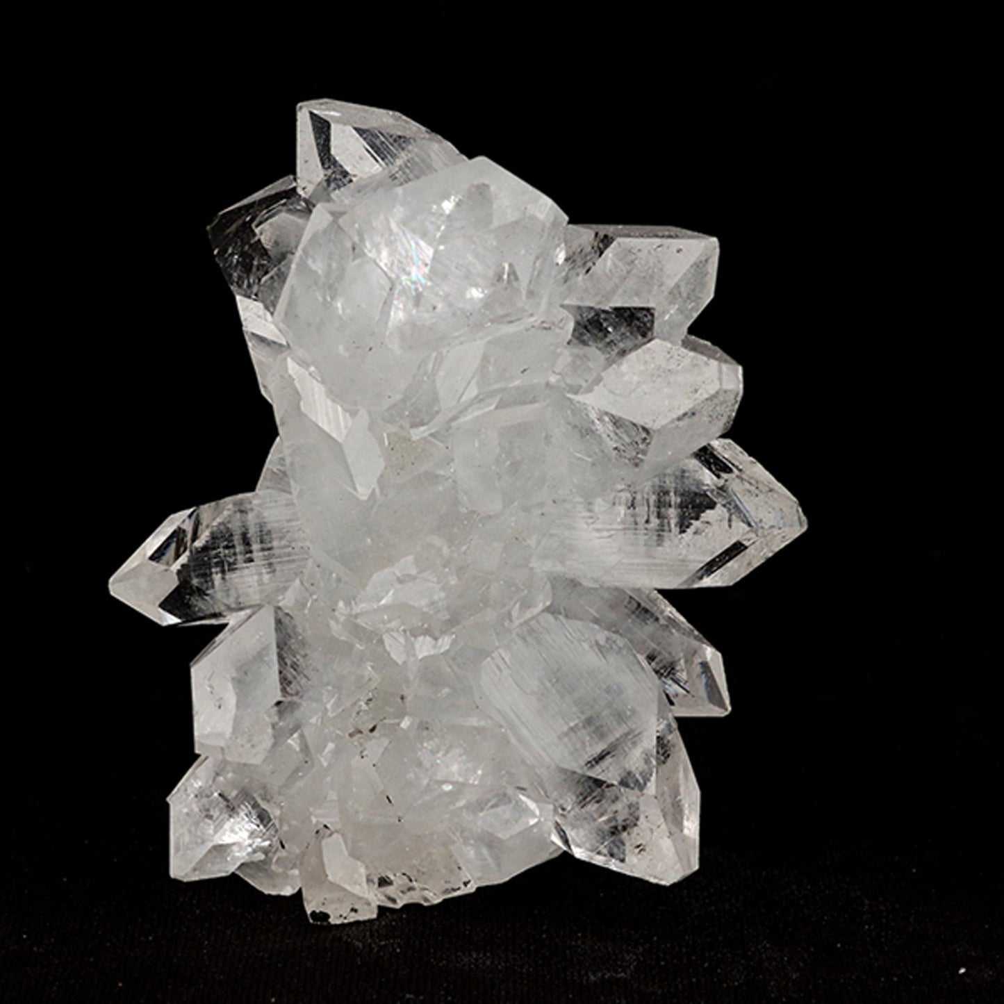 Apophyllite Natural Mineral Specimen# B 5455 Apophylite Superb Minerals 