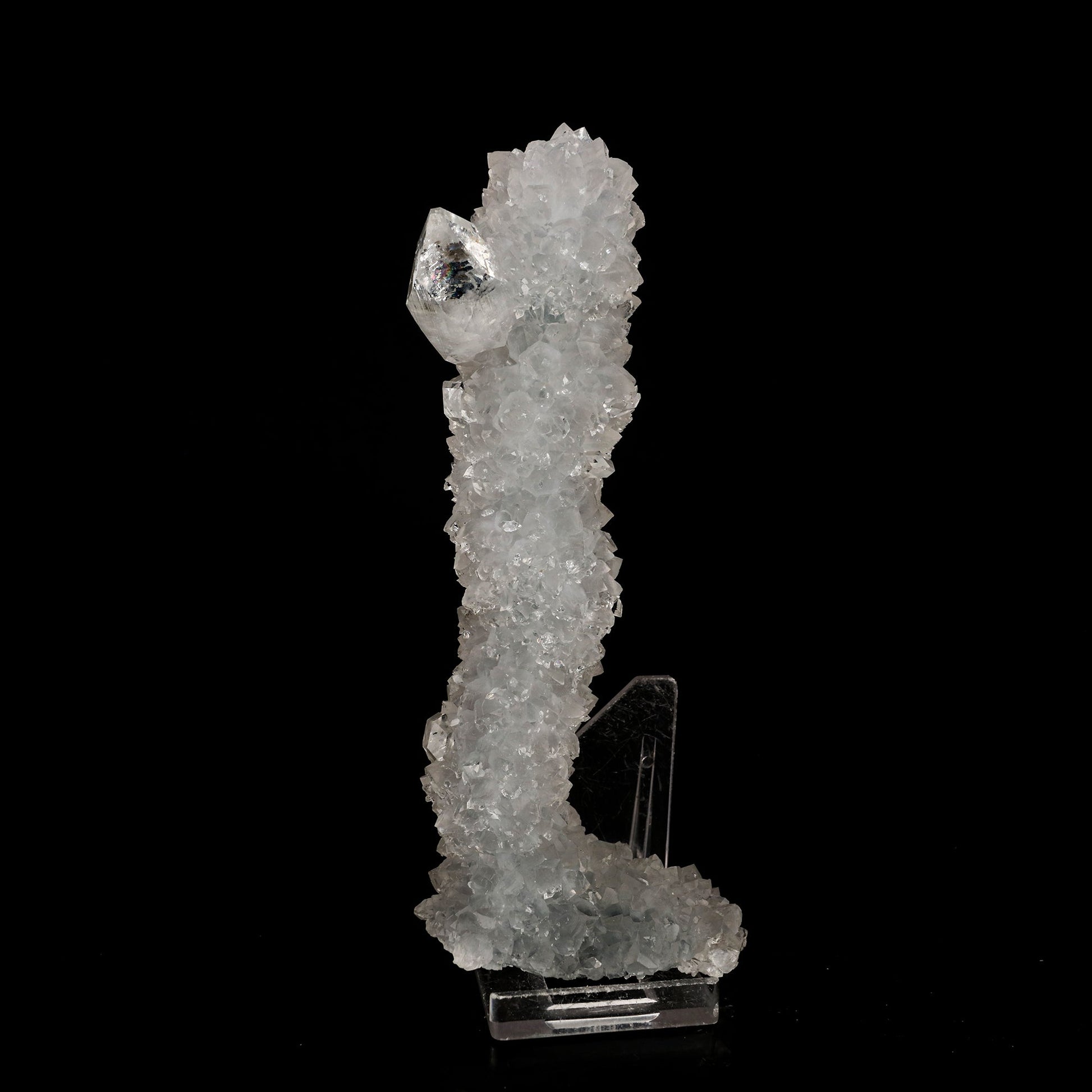 Apophyllite on MM Quartz Natural Mineral Specimen # B 6313 Apophyllite Superb Minerals 