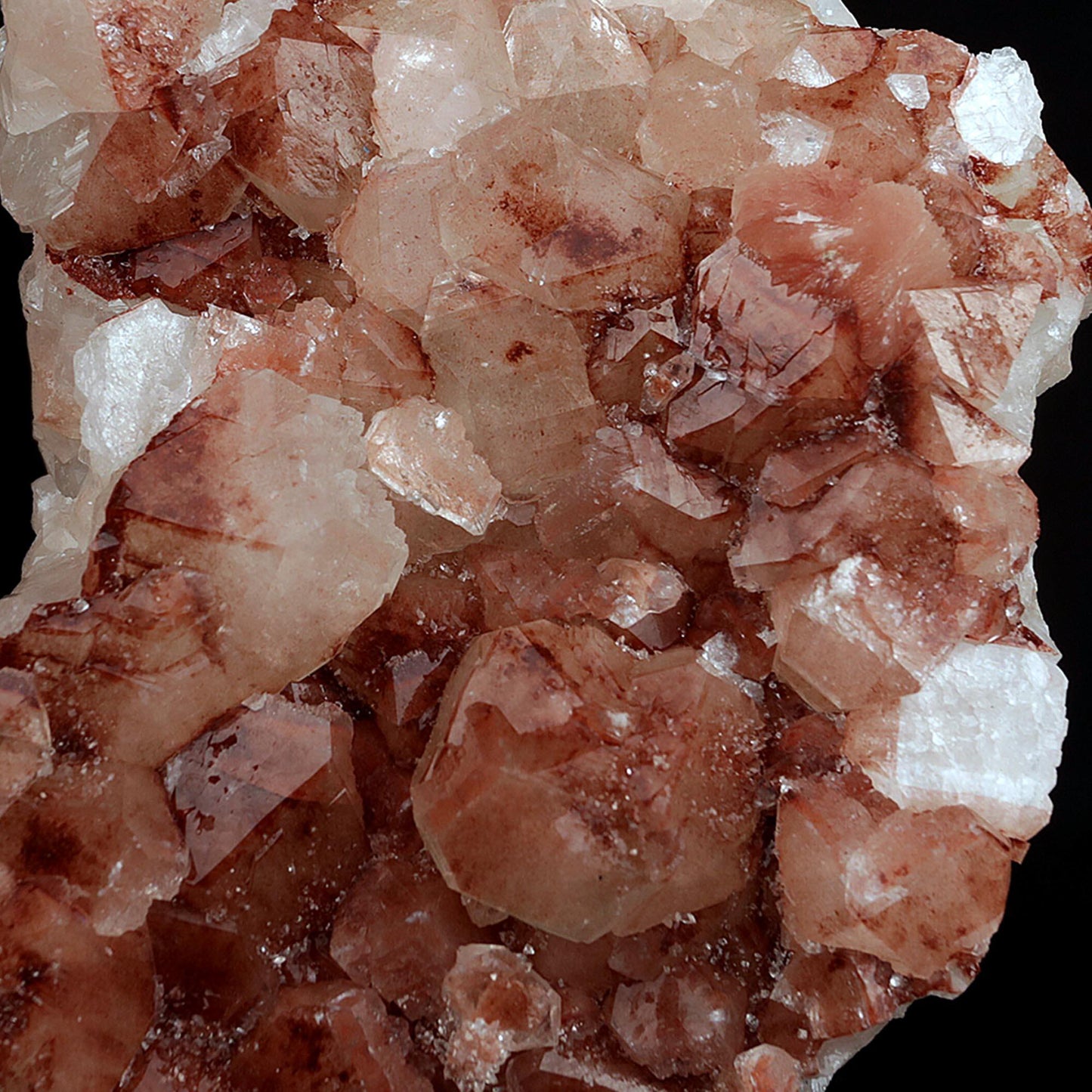 Apophyllite red cluster Natural Mineral Specimen # B 3715  https://www.superbminerals.us/products/apophyllite-red-cluster-natural-mineral-specimen-b-3715  Features:A lovely little Apophyllite Hematite Cluster makes it red apophyllite.&nbsp; This specimen is in top condition and makes for a very aesthetic and compact display piece.&nbsp; Several crystal shapes appear on the cluster and this is a more unusual form of the mineral, with the hematite inclusions in the Apophy