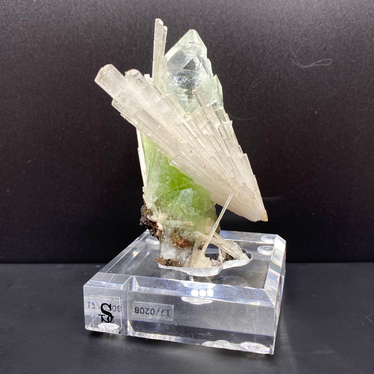 Apophyllite & Scolecite DK88 Superb Minerals 