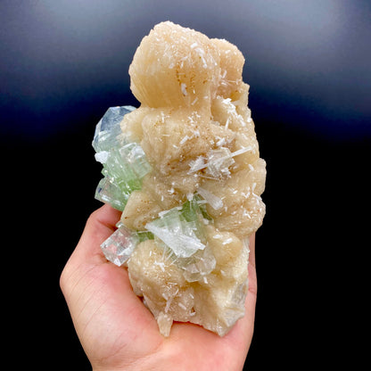 Apophyllite & Stilbite DK100 Superb Minerals 