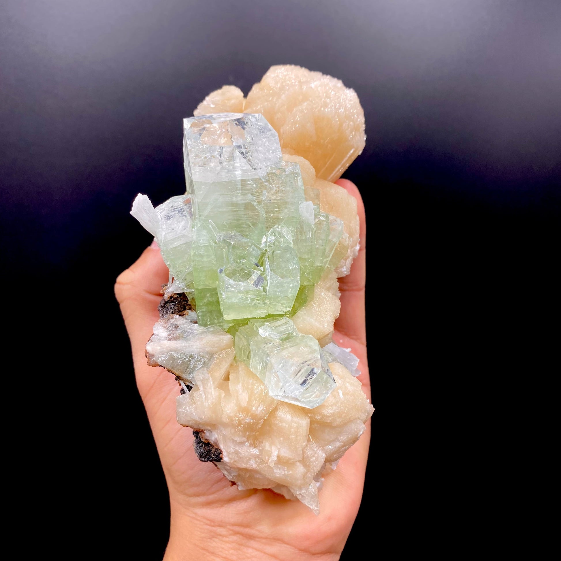 Apophyllite & Stilbite DK100 Superb Minerals 