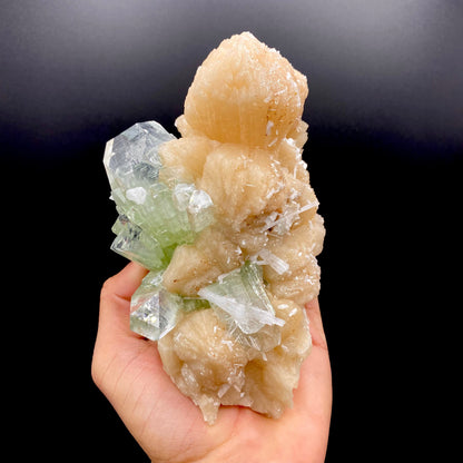 Apophyllite & Stilbite DK100 Superb Minerals 