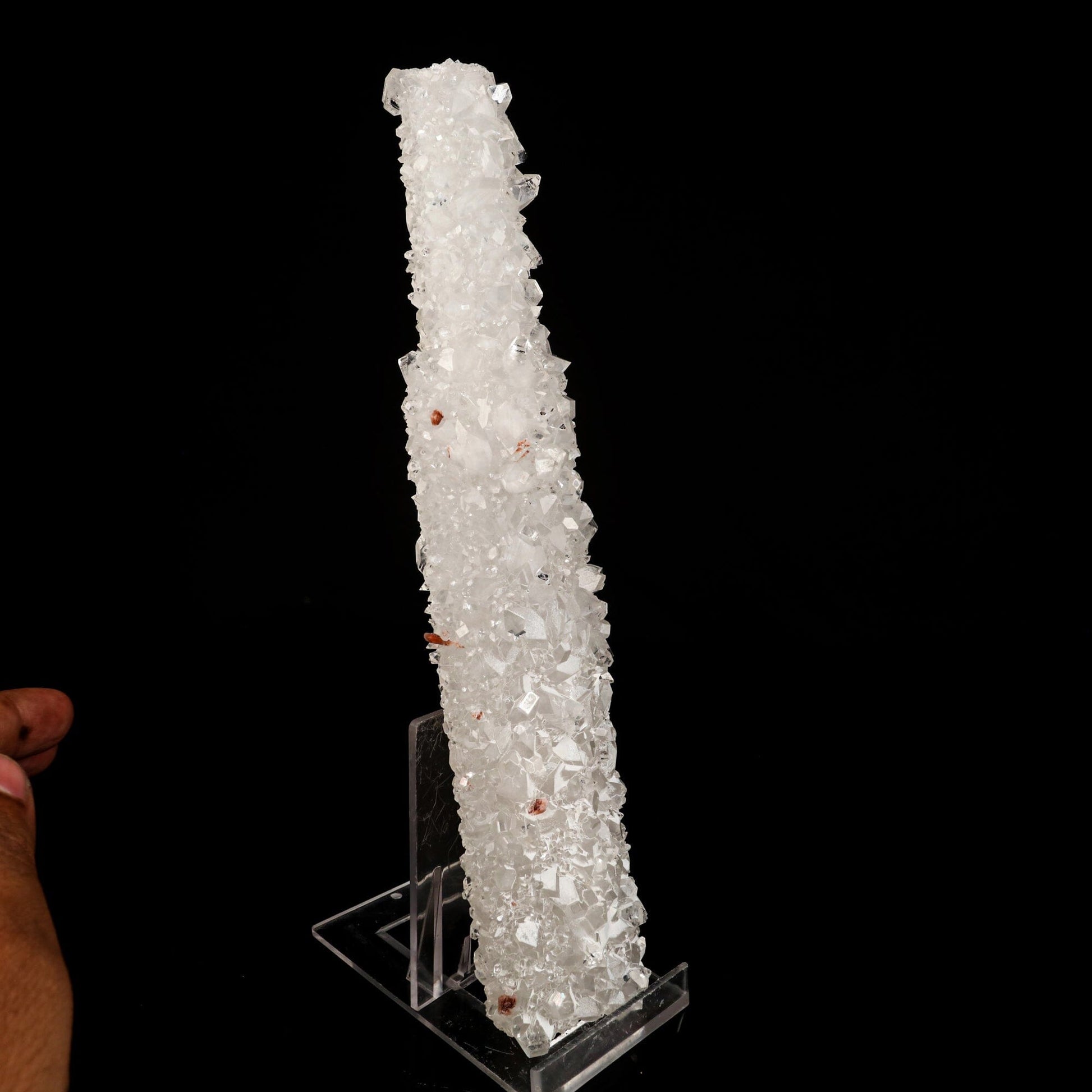 Apophyllite with Coated Calcite (Bat Shape) Natural Mineral Specimen # B 6476 Apophyllite Superb Minerals 