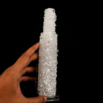 Apophyllite with Coated Calcite (Bat Shape) Natural Mineral Specimen # B 6476 Apophyllite Superb Minerals 