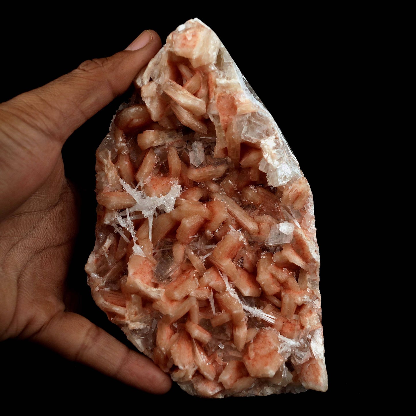 Apophyllite with Red Stilbite, Scolecite Natural Mineral Specimen # B…  https://www.superbminerals.us/products/apophyllite-with-red-stilbite-scolecite-natural-mineral-specimen-b-4577  Features:Green Apophyllite tabular crystals with pink stilbite mixed small scolecite sprays triangular in shape specimen.Primary Mineral(s): ApophylliteSecondary Mineral(s): Stilbite, Scolecite