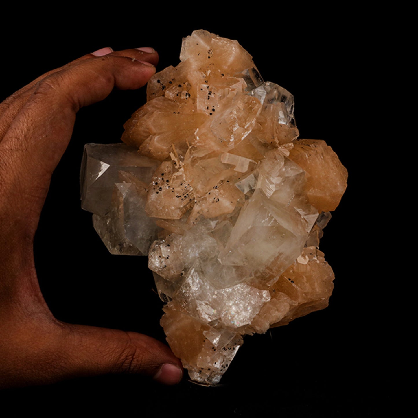 Apophyllite with Stilbite Natural Mineral Specimen # B 5524 Apophyllite Superb Minerals 