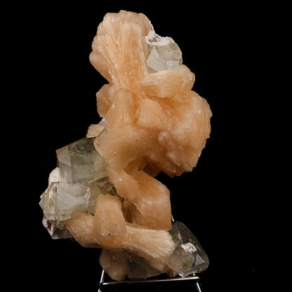 Apophyllite with Stilbite Natural Mineral Specimen # B 5530 Apophyllite Superb Minerals 