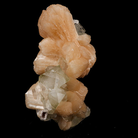 Apophyllite with Stilbite Natural Mineral Specimen # B 5530 Apophyllite Superb Minerals 