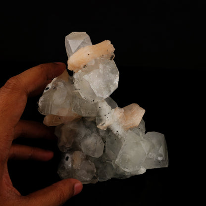 Apophyllite with Stilbite Natural Mineral Specimen # B 5603 Apophyllite Superb Minerals 