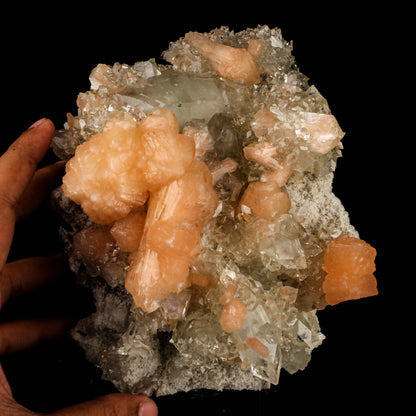 Apophyllite with Stilbite Natural Mineral Specimen # B 6465 Apophyllite Superb Minerals 