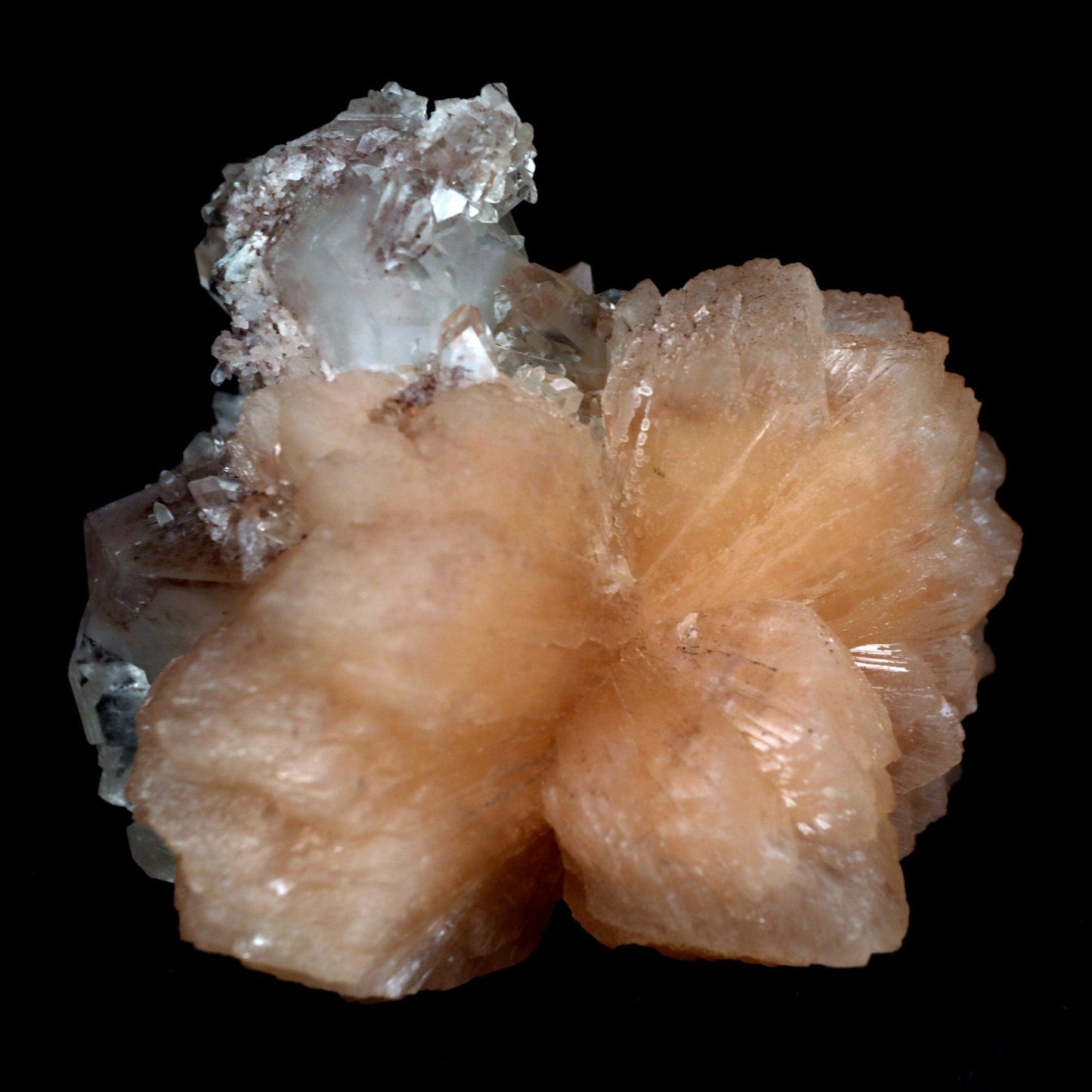 Apophyllite With Stilbite Perfect Bow-Tie formation Natural Mineral Sp…  https://www.superbminerals.us/products/apophyllite-with-stilbite-perfect-bow-tie-formation-natural-mineral-specimen-b-4796  Features: A stunning, large&nbsp; doubly terminated stilbite bowtie with fantastic broad form is aesthetically set on the Chalcedony basalt matrix. The highly lustrous, translucent, cream-colored stilbite is wonderfully complemented by the numerous lustrous, that are peppered on the matrix.