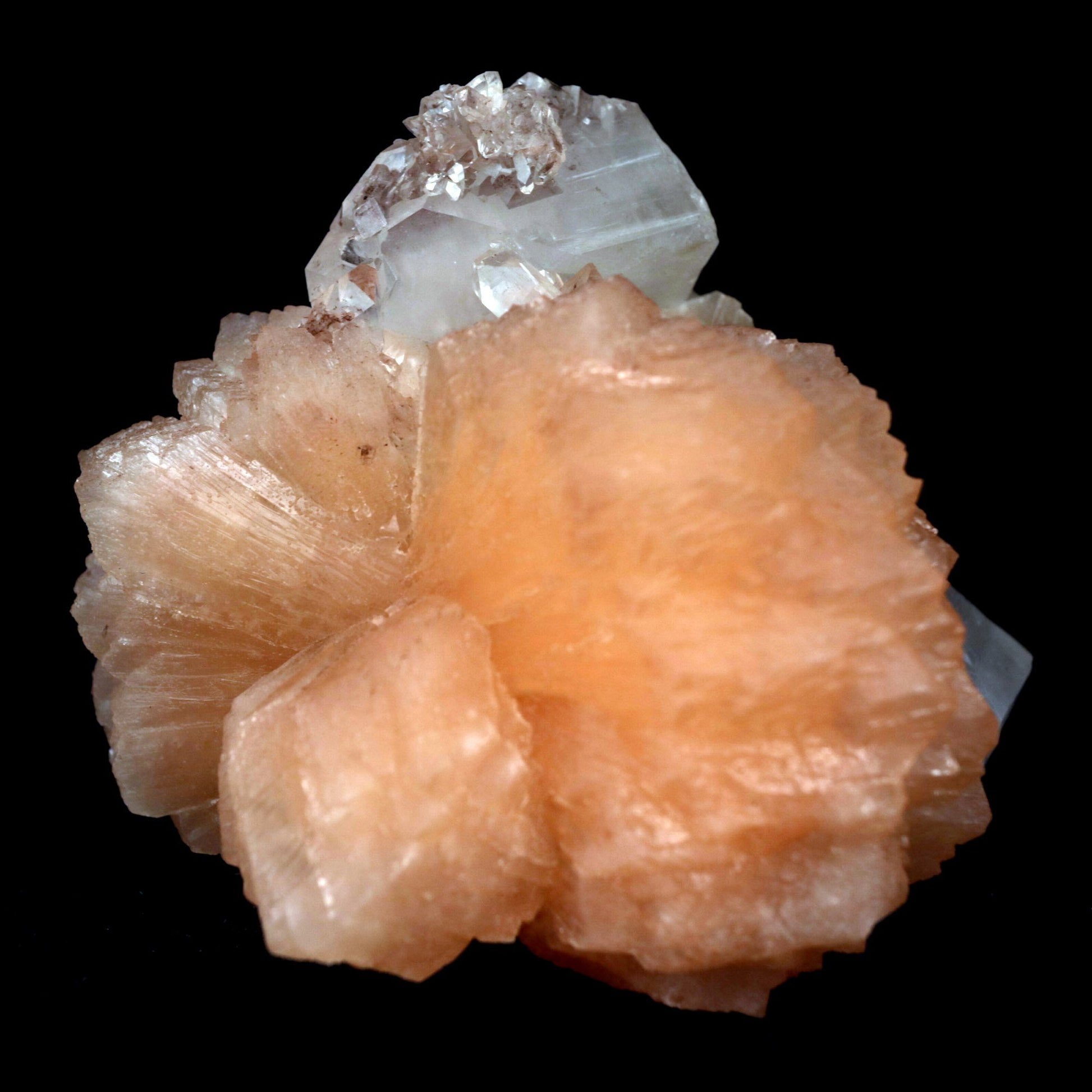 Apophyllite With Stilbite Perfect Bow-Tie formation Natural Mineral Sp…  https://www.superbminerals.us/products/apophyllite-with-stilbite-perfect-bow-tie-formation-natural-mineral-specimen-b-4796  Features: A stunning, large&nbsp; doubly terminated stilbite bowtie with fantastic broad form is aesthetically set on the Chalcedony basalt matrix. The highly lustrous, translucent, cream-colored stilbite is wonderfully complemented by the numerous lustrous, that are peppered on the matrix.