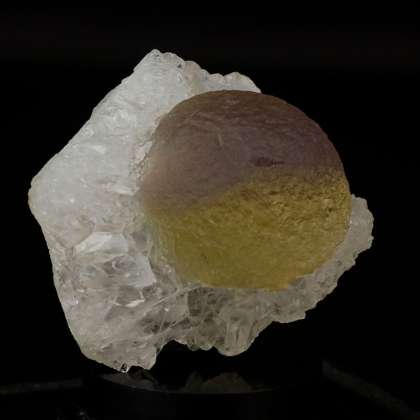 Bi Color Botryoidal Fluorite on MM Quartz Very Rare Natural Mineral Specimen # B 6706 Fluorite Superb Minerals 