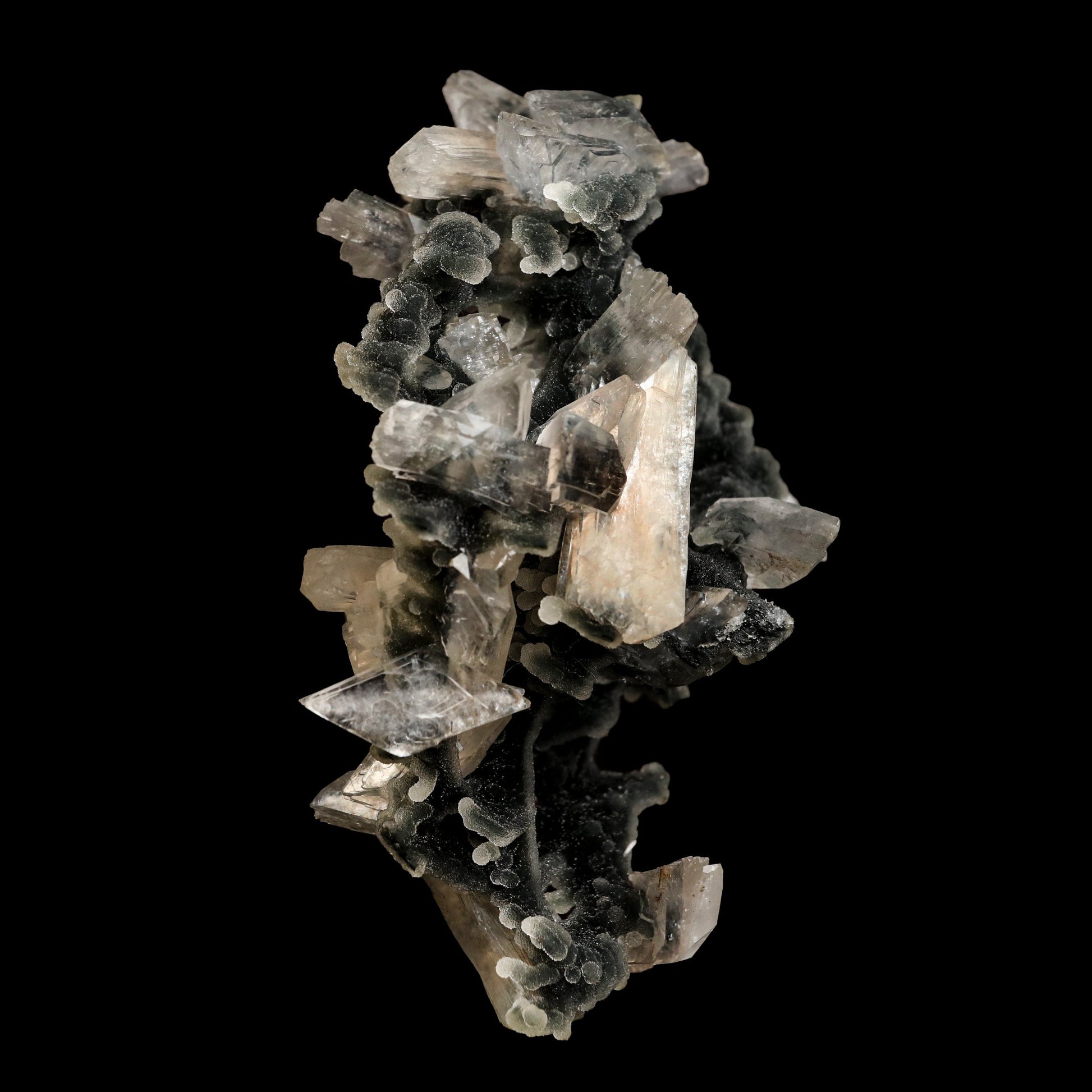 Black Chalcedony with Stilbite Heulandite Natural Mineral Specimen # …  https://www.superbminerals.us/products/black-chalcedony-with-stilbite-heulandite-natural-mineral-specimen-b-5057  Features: Unusual Stilbite from India, exhibiting a transparent, beige crystal with a pearly sheen sitting atop an off-white stalactitic Chalcedony cluster in an aesthetically pleasing display. A one-of-a-kind item in superb condition. Primary Mineral(s): Stilbite