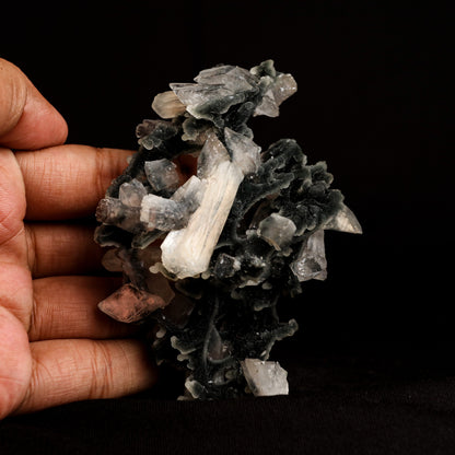 Black Chalcedony with Stilbite Heulandite Natural Mineral Specimen # …  https://www.superbminerals.us/products/black-chalcedony-with-stilbite-heulandite-natural-mineral-specimen-b-5057  Features: Unusual Stilbite from India, exhibiting a transparent, beige crystal with a pearly sheen sitting atop an off-white stalactitic Chalcedony cluster in an aesthetically pleasing display. A one-of-a-kind item in superb condition. Primary Mineral(s): Stilbite