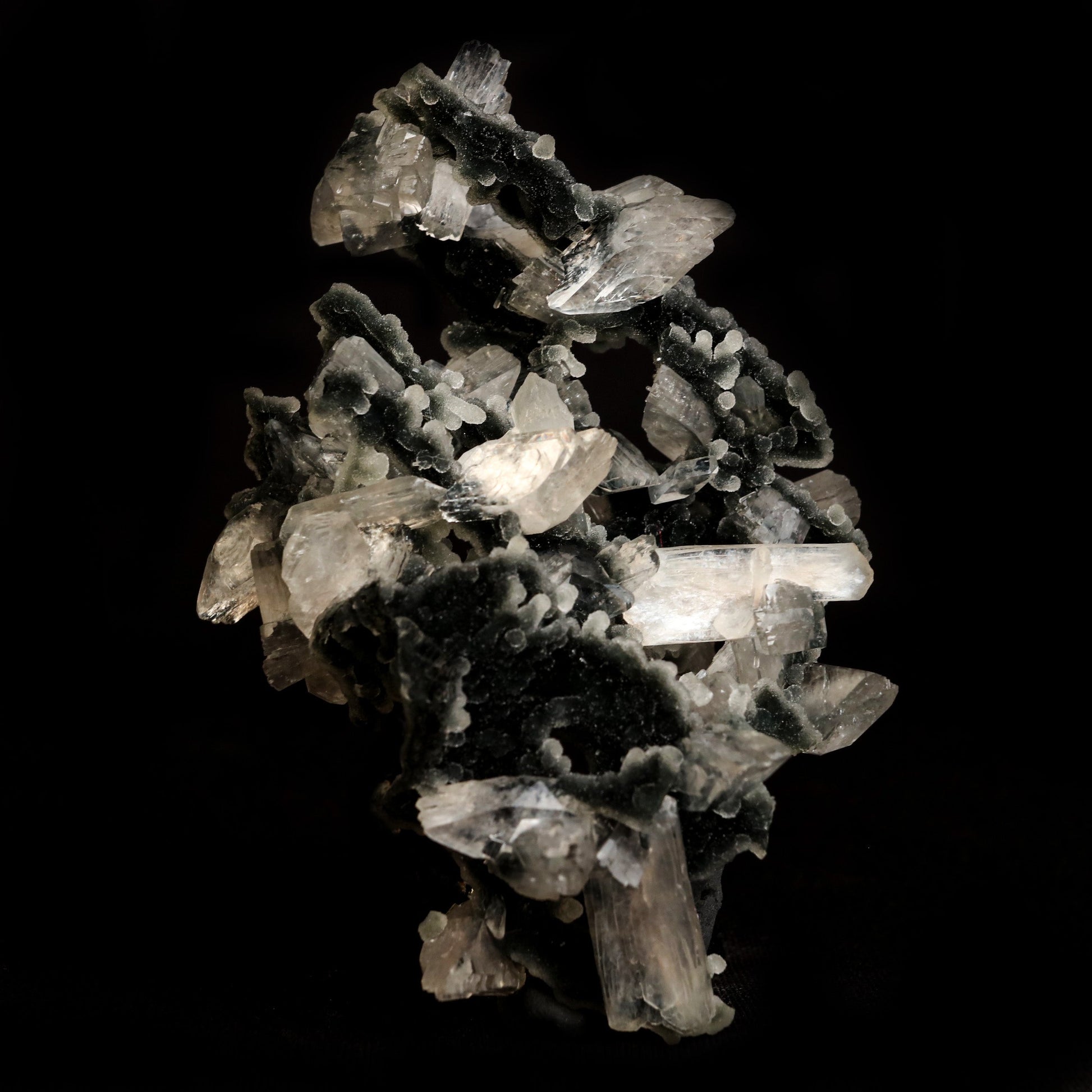 Black Chalcedony with Stilbite Heulandite Natural Mineral Specimen # …  https://www.superbminerals.us/products/black-chalcedony-with-stilbite-heulandite-natural-mineral-specimen-b-5057  Features: Unusual Stilbite from India, exhibiting a transparent, beige crystal with a pearly sheen sitting atop an off-white stalactitic Chalcedony cluster in an aesthetically pleasing display. A one-of-a-kind item in superb condition. Primary Mineral(s): Stilbite