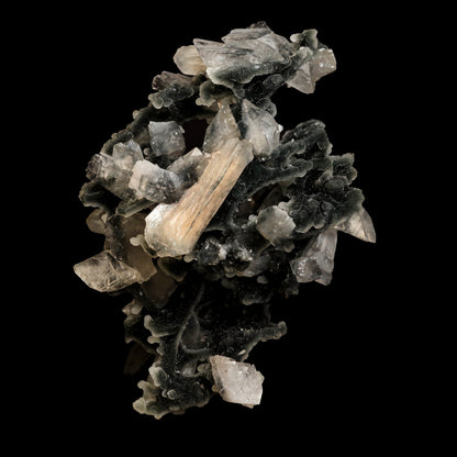 Black Chalcedony with Stilbite Heulandite Natural Mineral Specimen # …  https://www.superbminerals.us/products/black-chalcedony-with-stilbite-heulandite-natural-mineral-specimen-b-5057  Features: Unusual Stilbite from India, exhibiting a transparent, beige crystal with a pearly sheen sitting atop an off-white stalactitic Chalcedony cluster in an aesthetically pleasing display. A one-of-a-kind item in superb condition. Primary Mineral(s): Stilbite