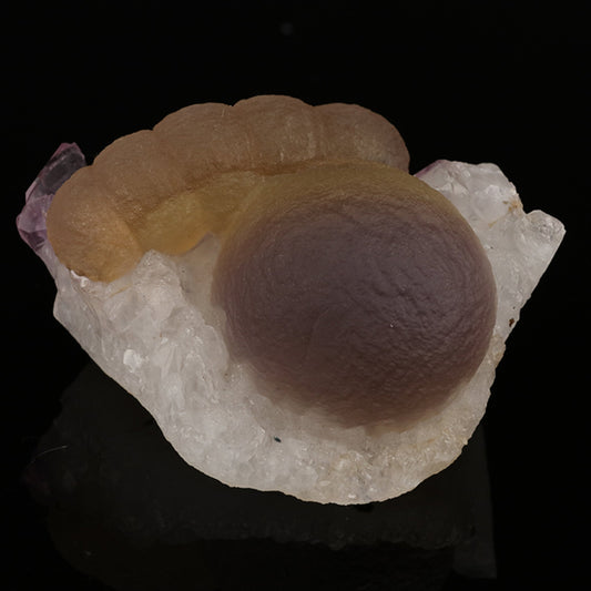 Blue Fluorite ball with Tamarind shape yellow fluorite on Amethyst "Rare Find" Natural Mineral Specimen # B 5647 Fluorite Superb Minerals 