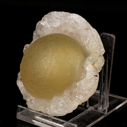 Botryoidal Fluorite on MM Quartz Rare Natural Mineral Specimen # B 6687 Fluorite Superb Minerals 