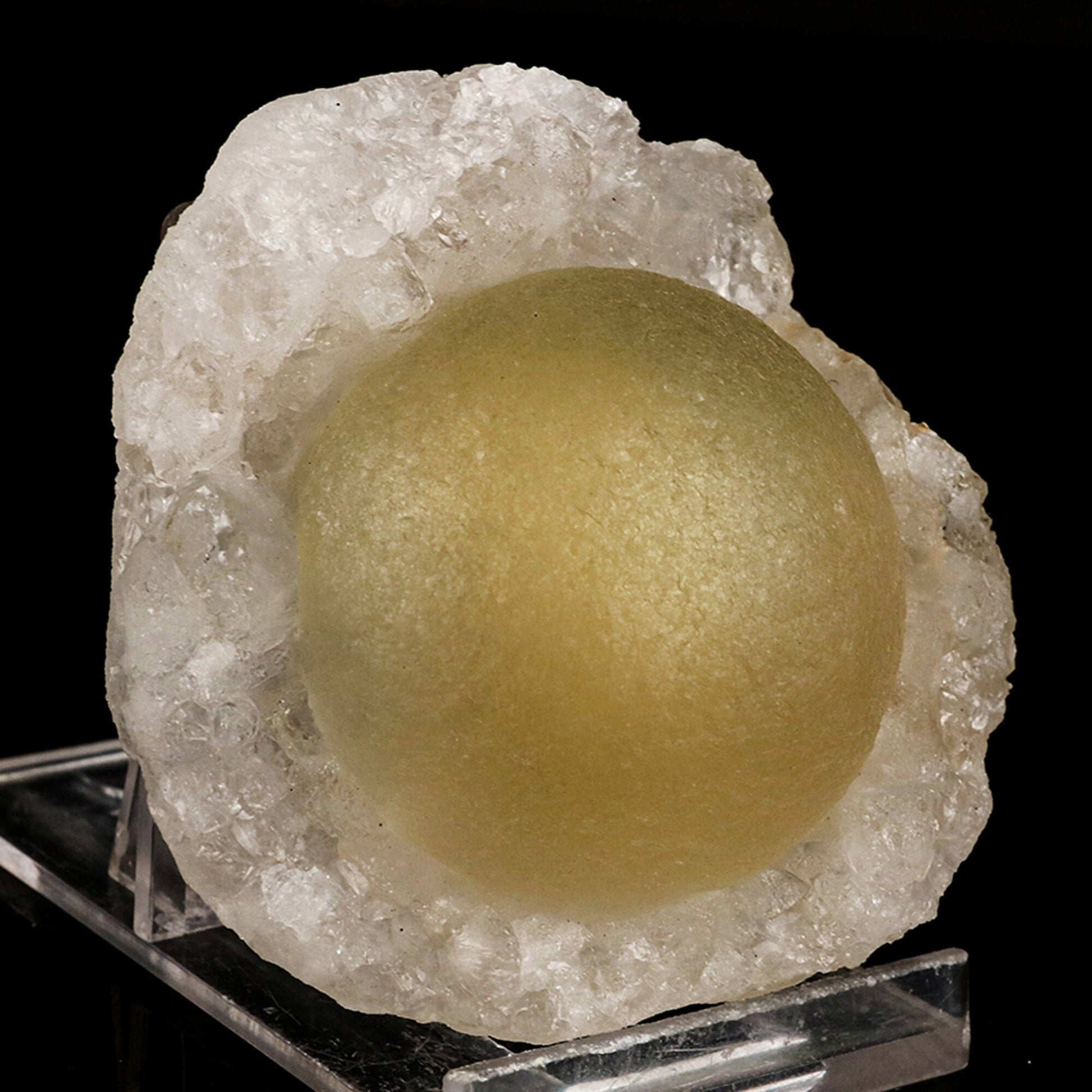 Botryoidal Fluorite on MM Quartz Rare Natural Mineral Specimen # B 6687 Fluorite Superb Minerals 