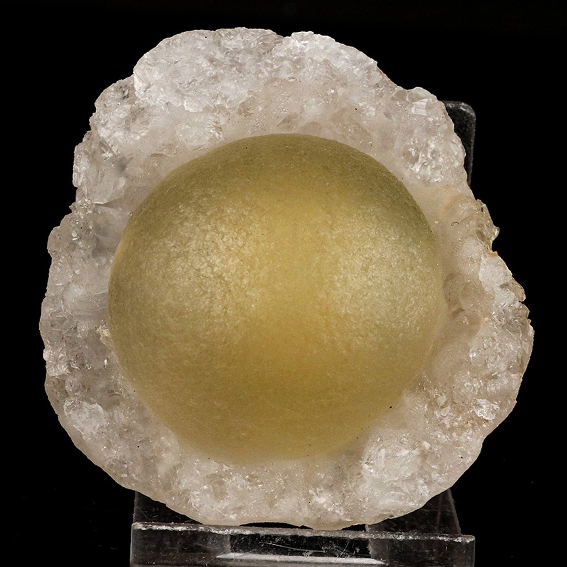 Botryoidal Fluorite on MM Quartz Rare Natural Mineral Specimen # B 6687 Fluorite Superb Minerals 