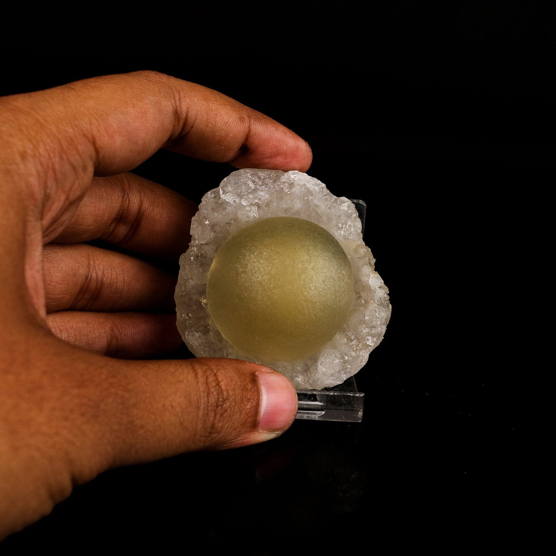 Botryoidal Fluorite on MM Quartz Rare Natural Mineral Specimen # B 6687 Fluorite Superb Minerals 