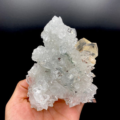 Calcite & Apophyllite DK101 Superb Minerals 
