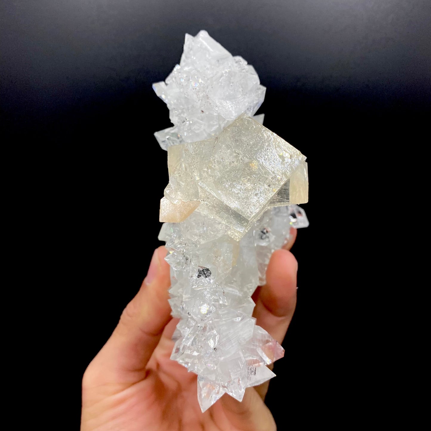Calcite & Apophyllite DK101 Superb Minerals 