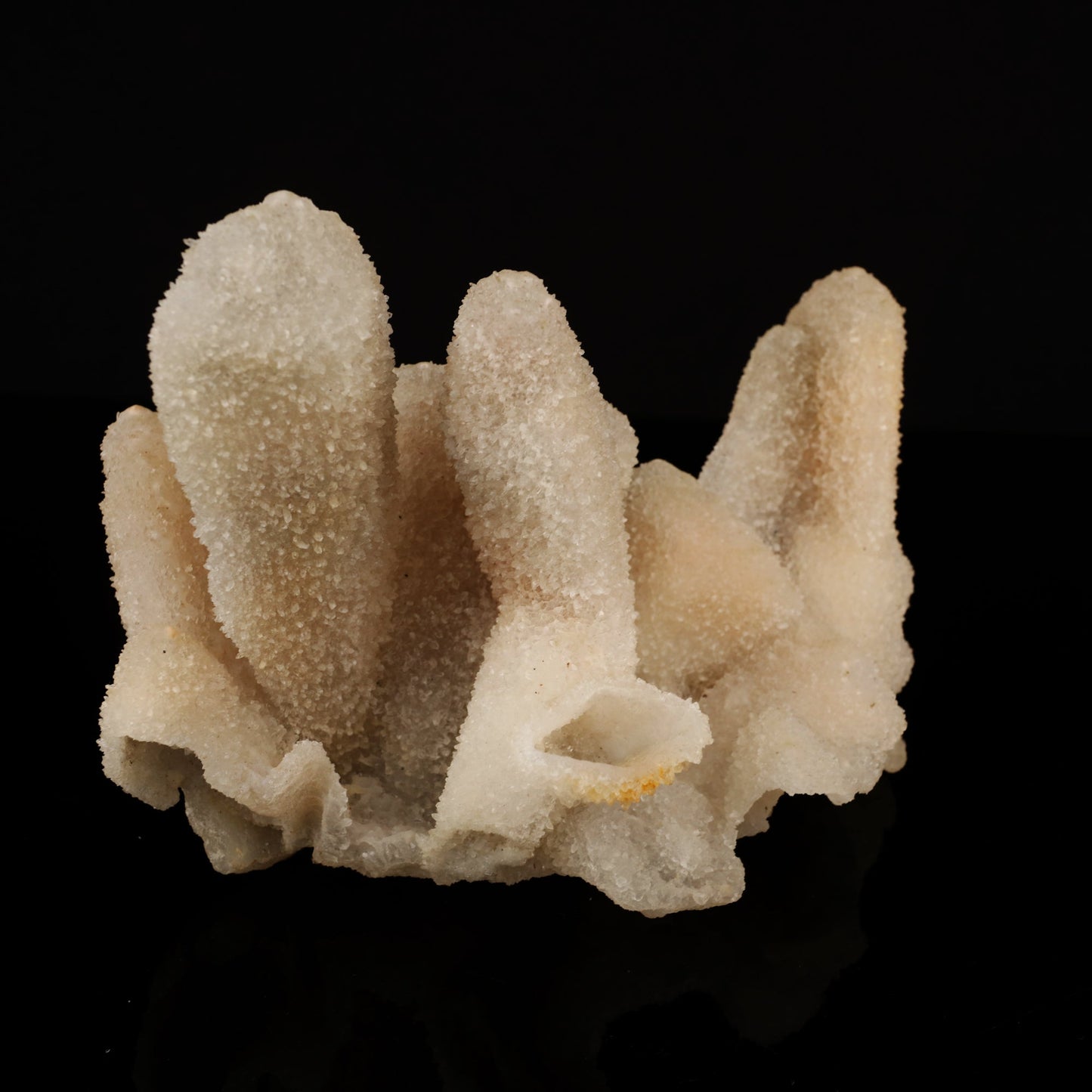 Calcite Coated with Chalcedony Natural Mineral Specimen # B 5632 Calcite Superb Minerals 