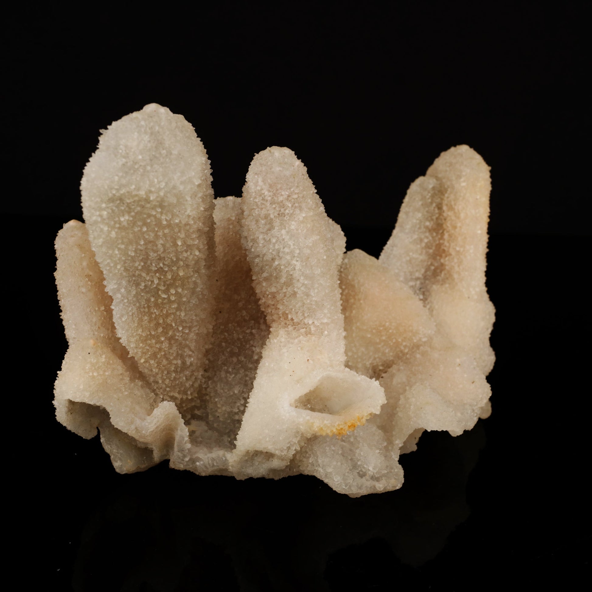 Calcite Coated with Chalcedony Natural Mineral Specimen # B 5632 Calcite Superb Minerals 