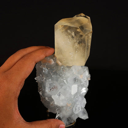 Calcite Golden Color with Apophyllite Natural Mineral Specimen # B 6604 Calcite Superb Minerals 