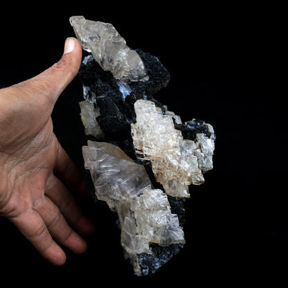 Calcite on Black Chalcedony Natural Mineral Specimen # B 3962  https://www.superbminerals.us/products/calcite-on-black-chalcedony-natural-mineral-specimen-b-3962  Features Calcite complex crystal rough and edgy formations two pairs all set on a matrix of black, stalactitic Chalcedony. It’s just an amazing piece – the clarity, contrast, symmetry and combination is top notch. In excellent condition. Primary Mineral(s):&nbsp; Calcite Secondary Mineral(s): N/AMatrix: Chalcedony