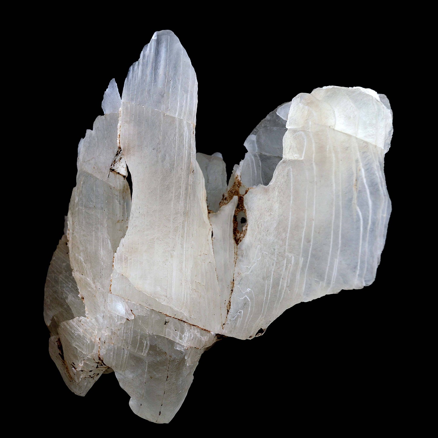 Calcite Pale Yellow Stalactite Natural Mineral Specimen # B 3801  https://www.superbminerals.us/products/calcite-pale-yellow-stalactite-natural-mineral-specimen-b-3801  Features A very aesthetic piece featuring a stalactitic formation of highly translucent to transparent Calcite scalenohedral crystals. On stalactites will see beautiful natural lines increase beauty and value of specimen. In excellent condition. Primary Mineral(s): CalciteSecondary Mineral(s): N/A