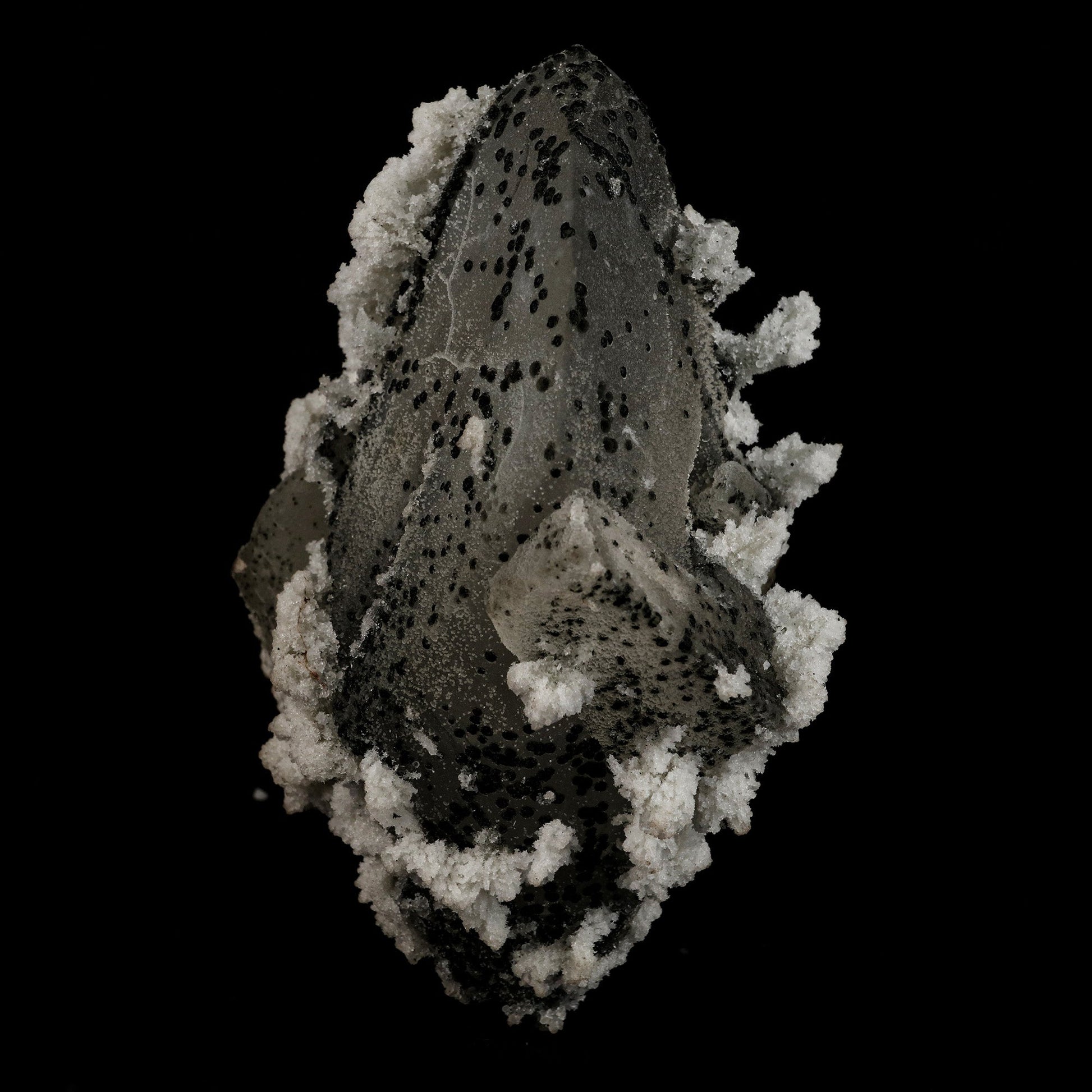 Calcite with Julgodite Rare Find Natural Mineral Specimen # B 5113  https://www.superbminerals.us/products/calcite-with-julgodite-rare-find-natural-mineral-specimen-b-5113  Features: The rare mineral Julgodite covers the basalt matrix. The small crystals, which are quite dark, are noticeable as they contrast well with the crystals of Stilbites, which are doubly-terminated, brilliant, water clear and with sharp pyramids. A floater crystal of Calcite with deposits of Julgoldite. Julgoldite