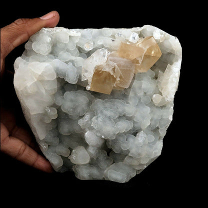 Calcite Yellow Crystal on Chalcedony Natural Mineral Specimen # B 3664  https://www.superbminerals.us/products/calcite-yellow-crystal-on-chalcedony-natural-mineral-specimen-b-3664  Features Superb piece that features an exceptionally large plate of&nbsp; lined with lustrous, colorless crystalline Chalcedony and Chalcedony stalactites hosting two large, root-beer colored Calcite cubes and two smaller root-beer and colorless Calcite cubes. The cubes are flawless and are perfectly positioned 