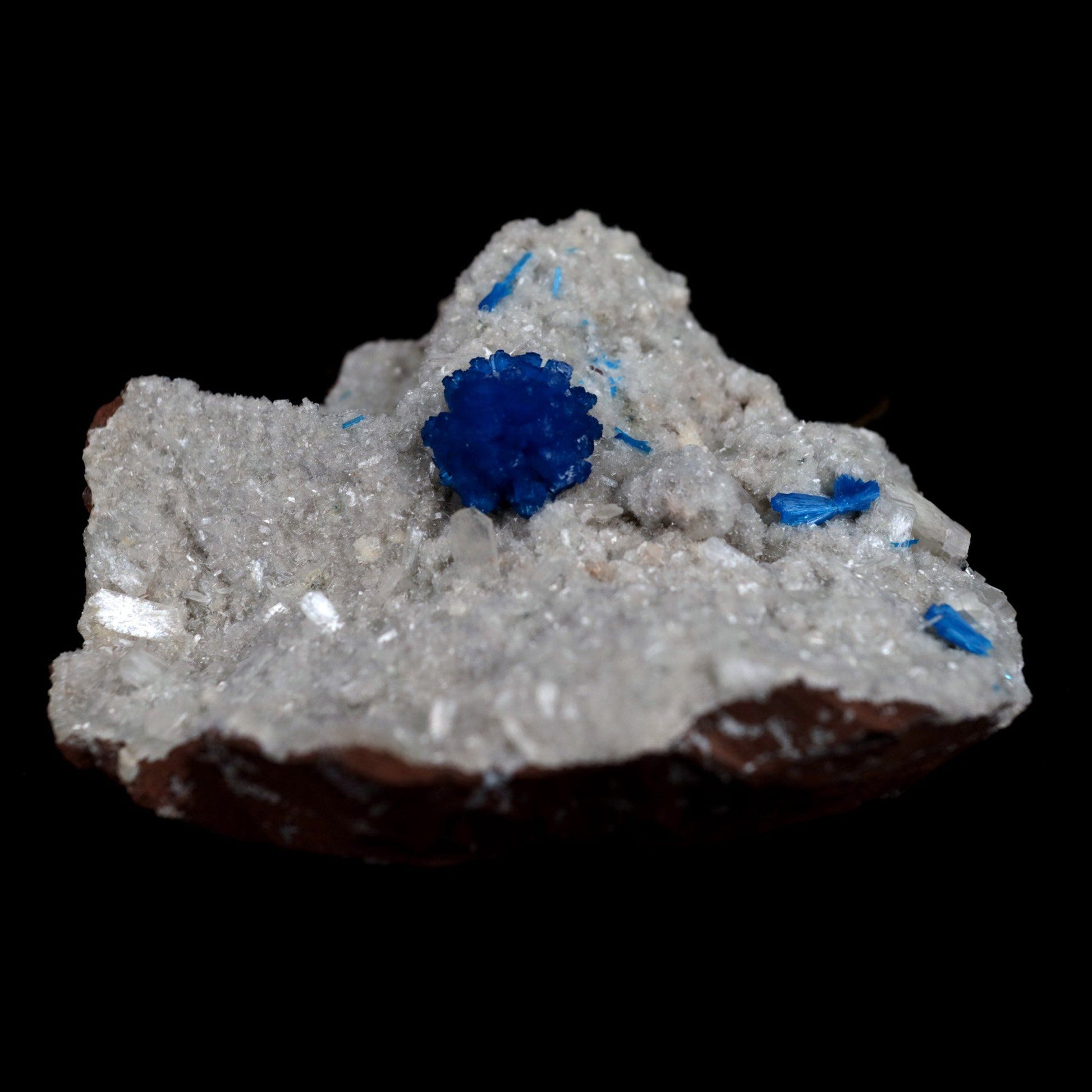 Cavansite Ball on Heuandite (Rare Find) Natural Mineral Specimen # B …  https://www.superbminerals.us/products/cavansite-ball-on-heuandite-rare-find-natural-mineral-specimen-b-4871  Features: Radial group of exquisite deep blue Cavansite on basalt with accompanying beige micro-crystals of Heulandite makes up this stunning work. There's no obvious damage, however the front of the Cavansite "balls" has a small separation mark where it grew up against the pocket wall. It's of excellent 
