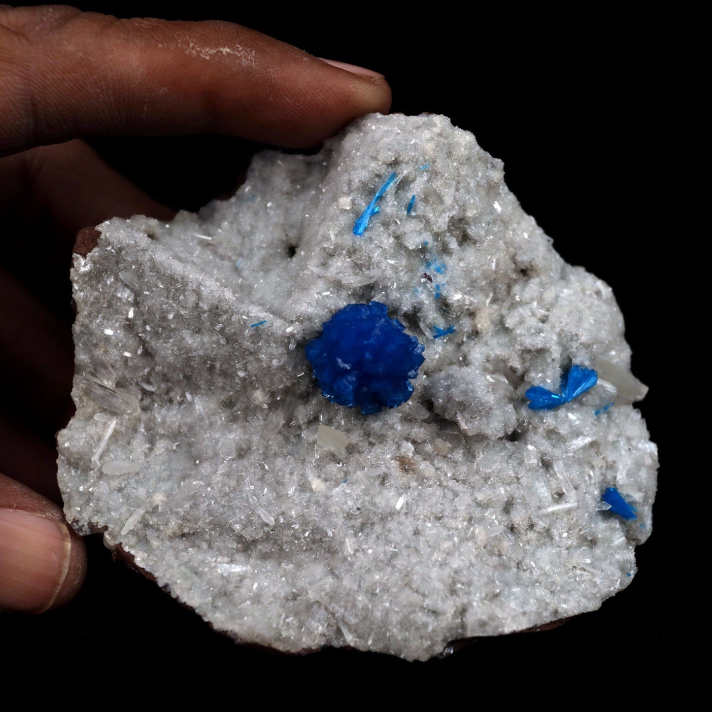 Cavansite Ball on Heuandite (Rare Find) Natural Mineral Specimen # B …  https://www.superbminerals.us/products/cavansite-ball-on-heuandite-rare-find-natural-mineral-specimen-b-4871  Features: Radial group of exquisite deep blue Cavansite on basalt with accompanying beige micro-crystals of Heulandite makes up this stunning work. There's no obvious damage, however the front of the Cavansite "balls" has a small separation mark where it grew up against the pocket wall. It's of excellent 